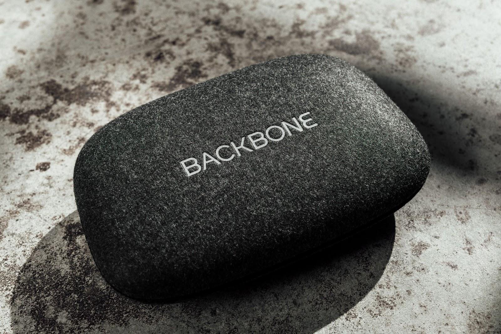 Black Backbone One controller Carrying Case